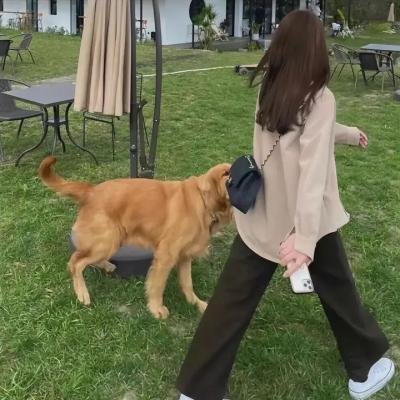 沙漠之鹰